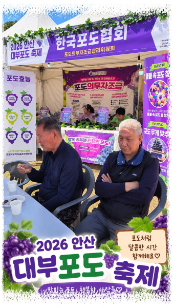 포도포도축제22.jpg